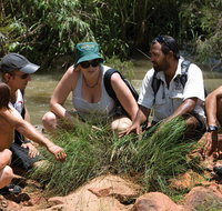 Nitmiluk Tours  Accommodation - Tourism Cairns