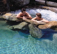 Reef Palms - Tourism Cairns