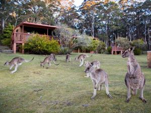 Jenolan Caves Cottages - Tourism Cairns 1