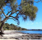 Currarong Beachside Holiday Park - Tourism Cairns