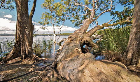Dees Corner Campground - Tourism Cairns 1