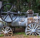 Dingo Tops campground - Tourism Cairns