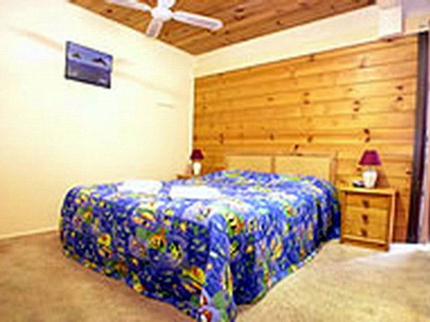 Shelly Beach Cabins - Tourism Cairns 1