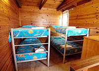 Shelly Beach Cabins - Tourism Cairns 7