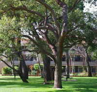 Trinity - Tourism Cairns