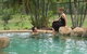 BIG4 Hayes Creek Holiday Park - thumb 0