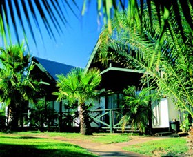Desert Palms Alice Springs - Tourism Cairns 1