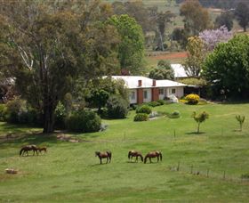 Acacia Park Farm House - Tourism Cairns 0