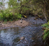 Horse Swamp campground - Tourism Cairns