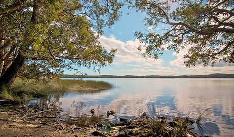 Johnsons Beach Campground - Tourism Cairns 1