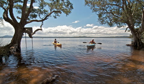 Mungo Brush Campground - Tourism Cairns 0