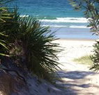Myola Tourist Resort Caravan Park - Tourism Cairns