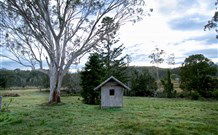 Pillar Rock Farm - Tourism Cairns 3
