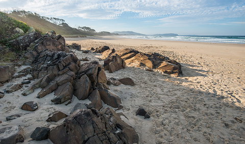Racecourse Campground - Tourism Cairns 1