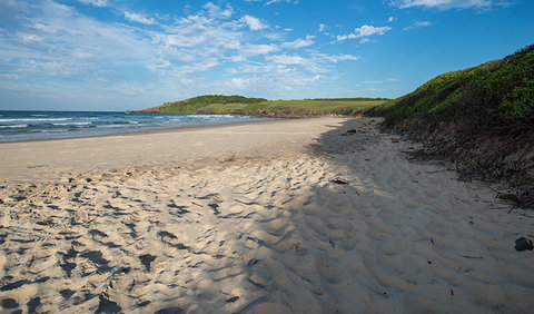 Racecourse Campground - Tourism Cairns 2