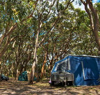 Stewart and Lloyds campground - Tourism Cairns