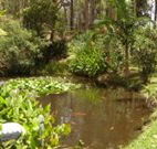 Tallowood Ridge B and B - Tourism Cairns