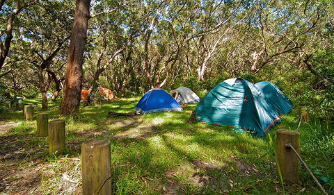 Yagon Campground - Tourism Cairns 2