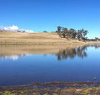 Bombala Maneroo Motel - Bombala - Tourism Cairns