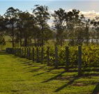 H Boutique Hotel - Pokolbin - Tourism Cairns