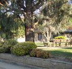 Hamilton Hume Motor Inn - Yass - Tourism Cairns