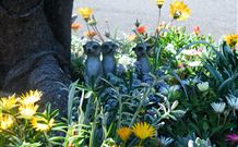 Milgate Motel - Casino - Tourism Cairns 3