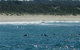Sussex Shores RSL Units - Sussex Inlet - thumb 4