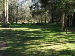 Jervis Bay Cabins And Hidden Creek Real Camping - Tourism Cairns 5