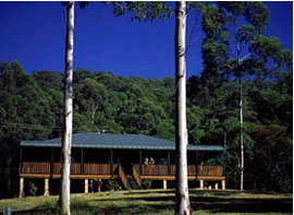 Dungog NSW Tourism Cairns