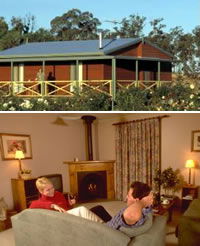 Twin Trees Country Cottages - Tourism Cairns 0