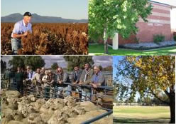 Southern Cross Motor Inn - Tourism Cairns 0