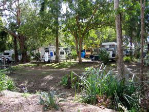 Big 4 Whitsundays Tropical Eco Resort (formerly Flametree) - Tourism Cairns 2