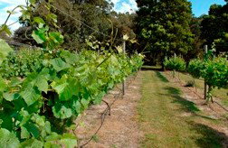 Between The Bays Retreat - Tourism Cairns 2