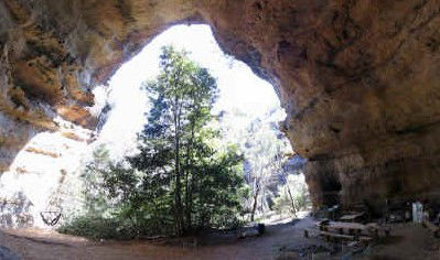 Bell NSW Tourism Cairns