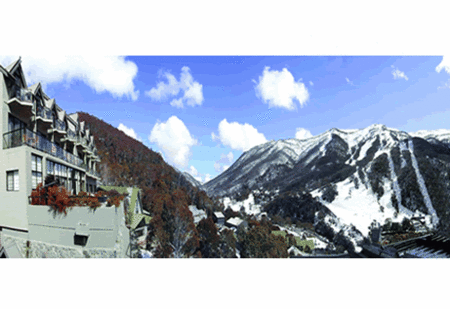 The Lantern Apartments - Tourism Cairns