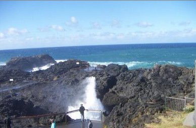 Kiama Ocean View Motor Inn - Tourism Cairns 1