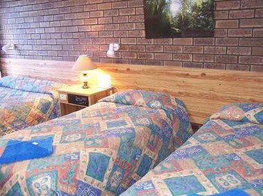 Best Western Garden Court Motel - Tourism Cairns 3