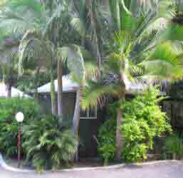 Nambour Rainforest Holiday Village - Tourism Cairns 1