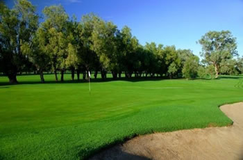 Golf Links Motel - Tourism Cairns 7