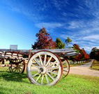 The Oaks Ranch and Country Club - Mossy Point - Tourism Cairns