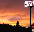 Walcha Motel - Walcha - Tourism Cairns