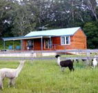 Moorallie Cottage Farm Stay - Tourism Cairns