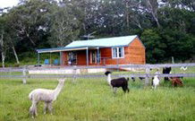 Moorallie Cottage Farm Stay - Tourism Cairns 0