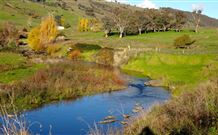 Ralda's Cottage - Tourism Cairns 0
