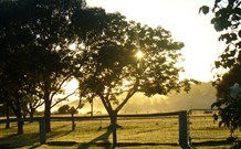 Rocky Mountains - Tourism Cairns 4