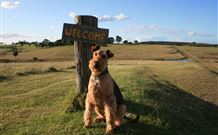 Rocky Mountains - Tourism Cairns 7