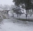 Tirrintippin - Tourism Cairns