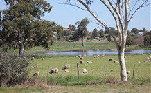 Yamba Farmstay - Tourism Cairns 5