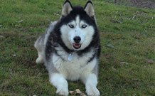 The White House Apartment - Tourism Cairns 7