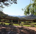 Cedar Grove - - Tourism Cairns